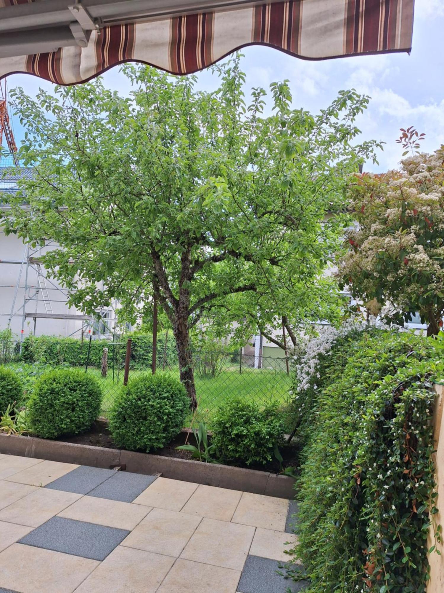 Appartamento Haus Mila Freudenstadt Esterno foto